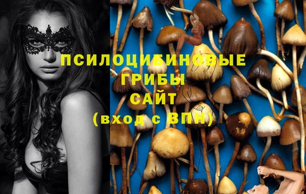 прущая мука Абаза