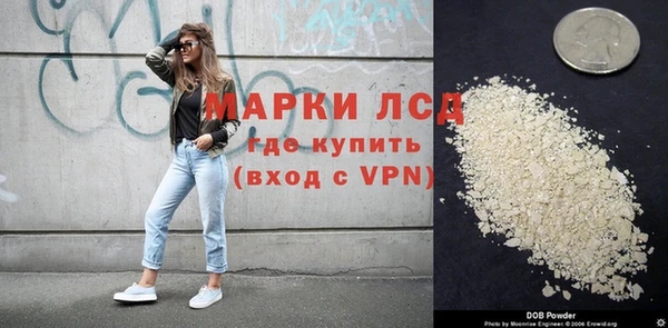 гашик Алексин