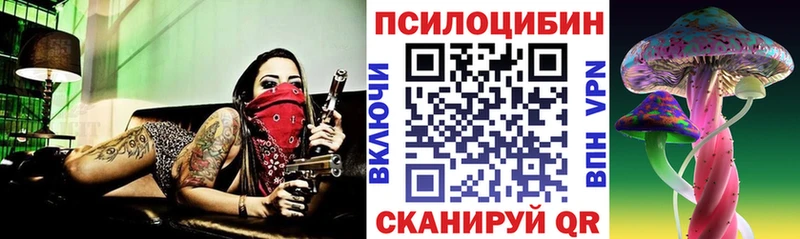 Псилоцибиновые грибы Cubensis  Орск 
