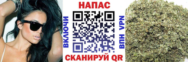 это наркотические препараты  Орск  Бошки Шишки план  купить закладку 